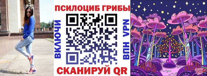 где можно купить наркотик  Ярославль  Галлюциногенные грибы MAGIC MUSHROOMS 